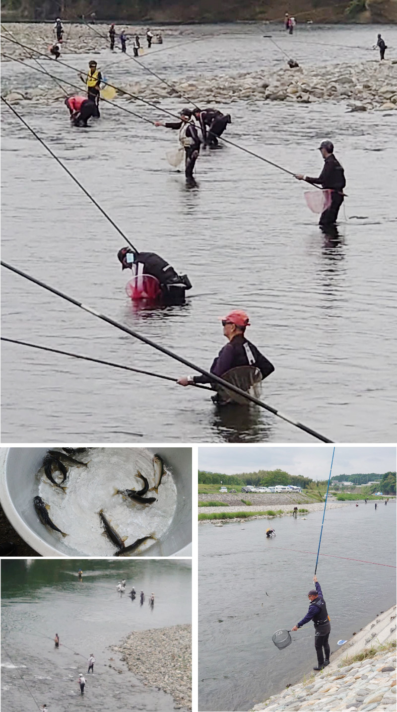 鮎釣り解禁 初夏の風が川面を渡る那珂川にシーズン到来 大田原blog 大田原市観光協会